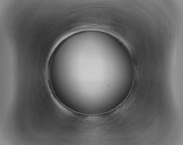 X0000111611531200907240959