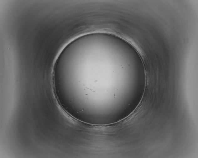 X0000111611532200907240959