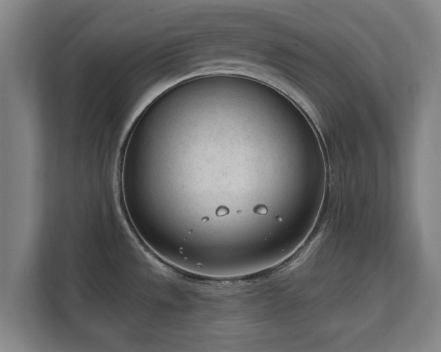 X0000111611533200907240959