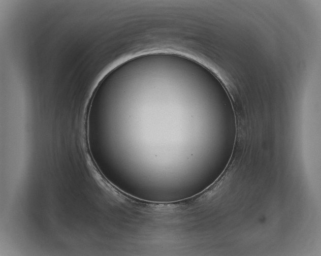 X0000111611534200907240959