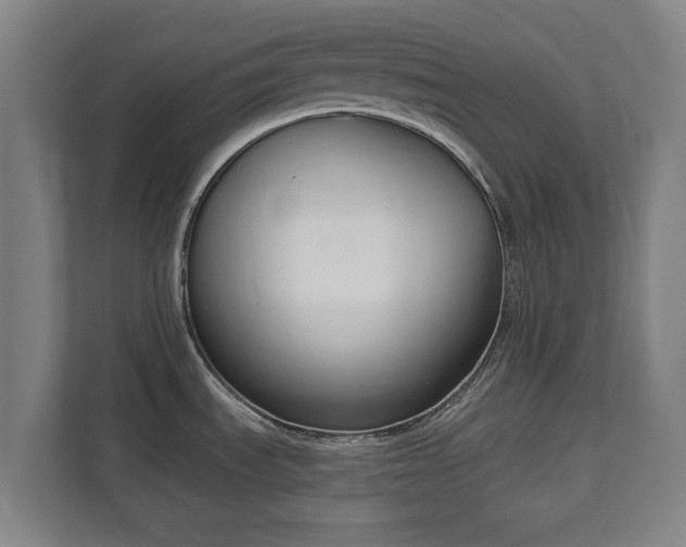 X0000111611535200907240959