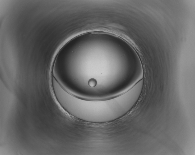 X0000111611536200907240959