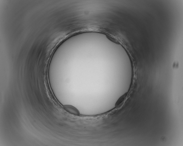 X0000111610001200907311150