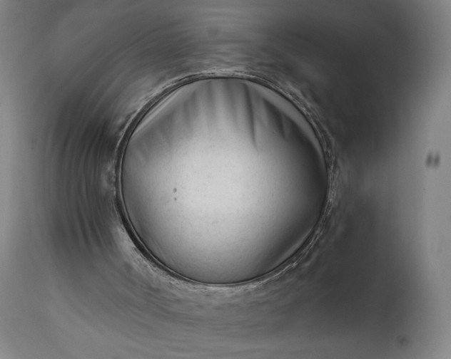 X0000111610002200907311150