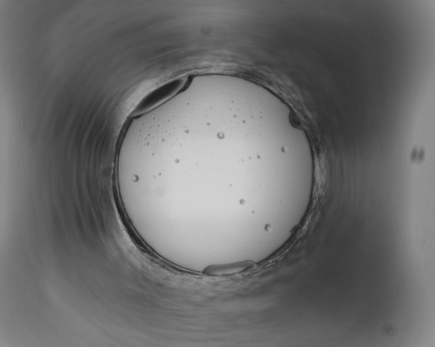 X0000111610003200907311150