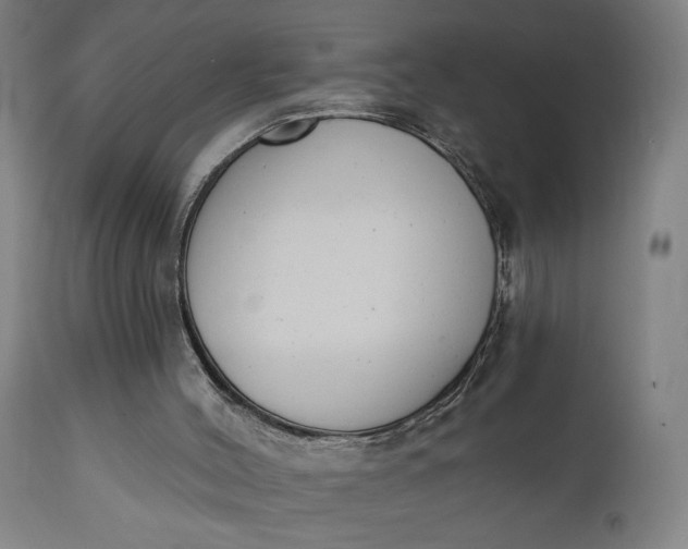 X0000111610004200907311150