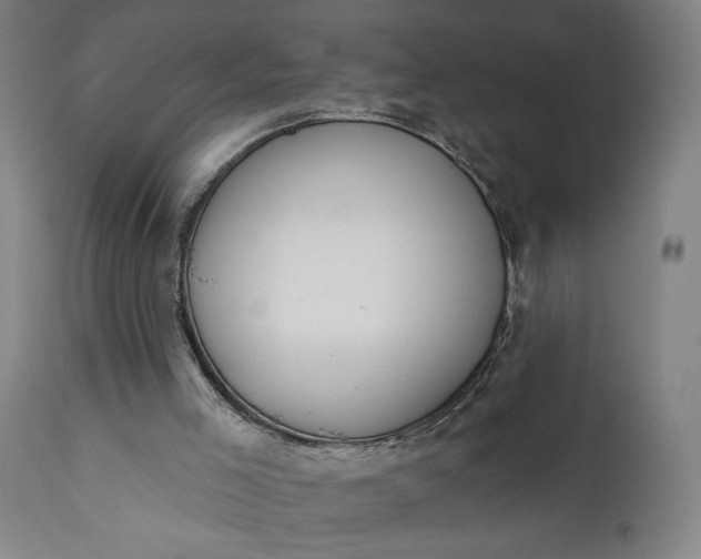 X0000111610005200907311150