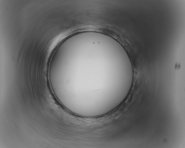 X0000111610006200907311150