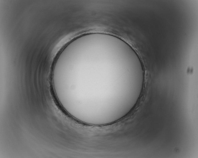 X0000111610007200907311150