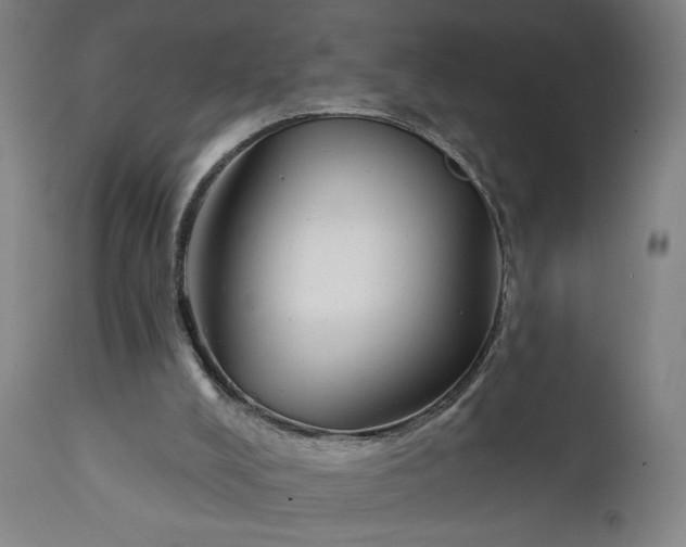 X0000111610008200907311150