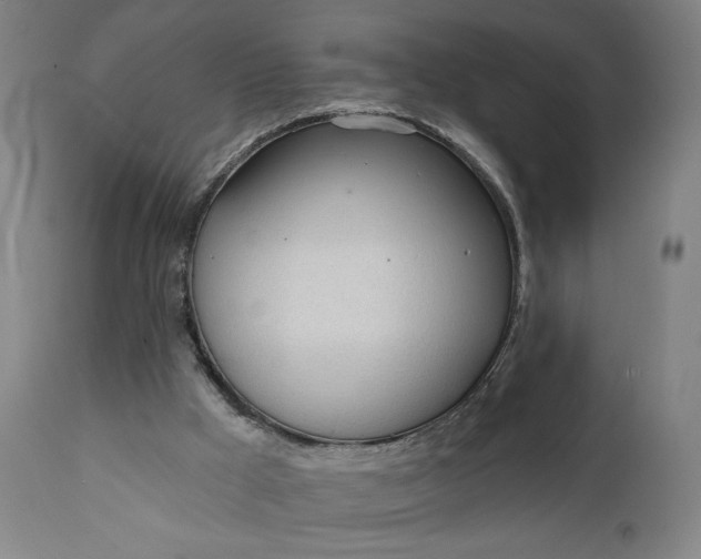 X0000111610009200907311150