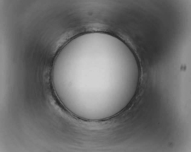 X0000111610010200907311150