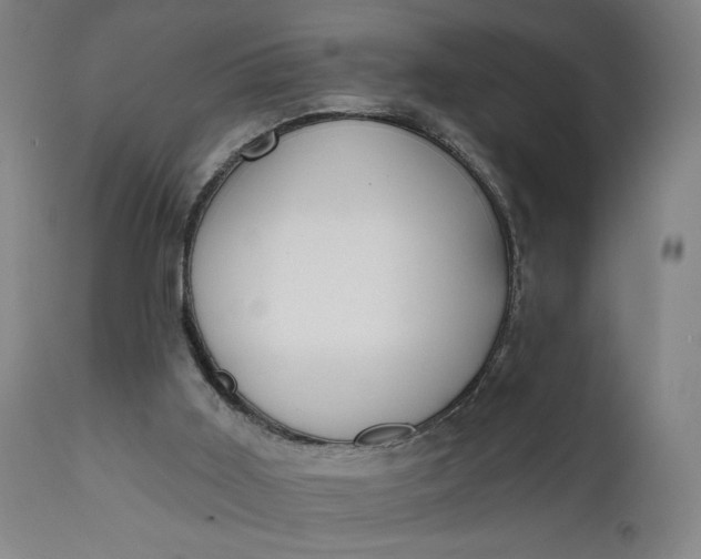 X0000111610011200907311150