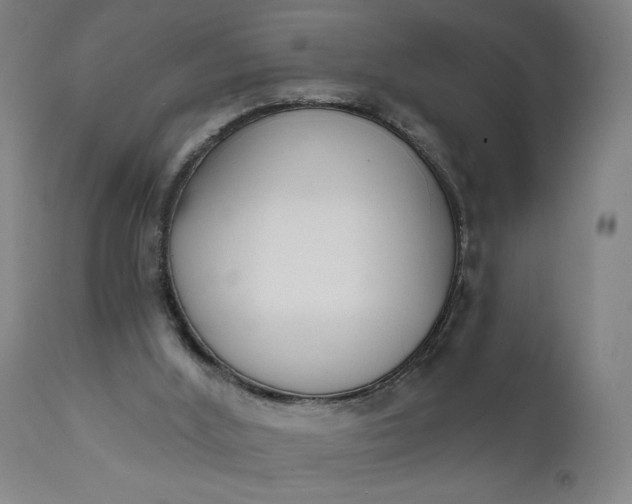 X0000111610012200907311150