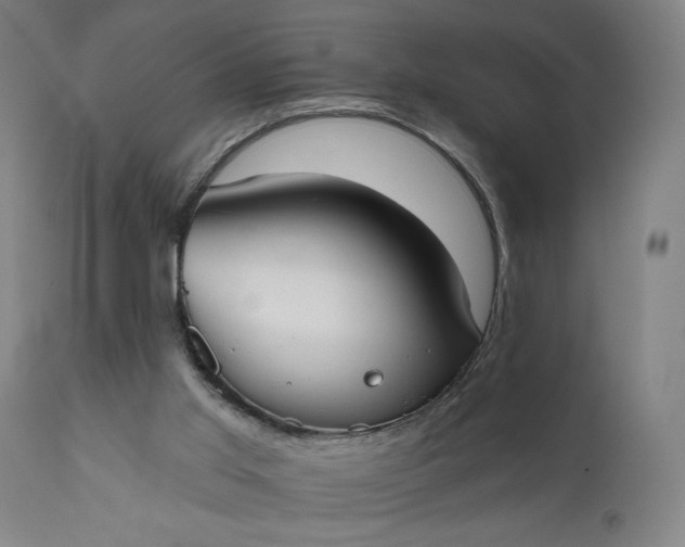 X0000111610013200907311150