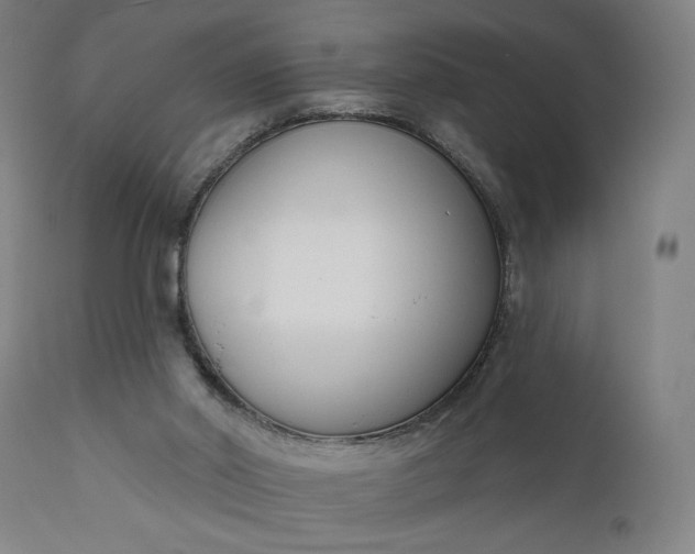 X0000111610014200907311150