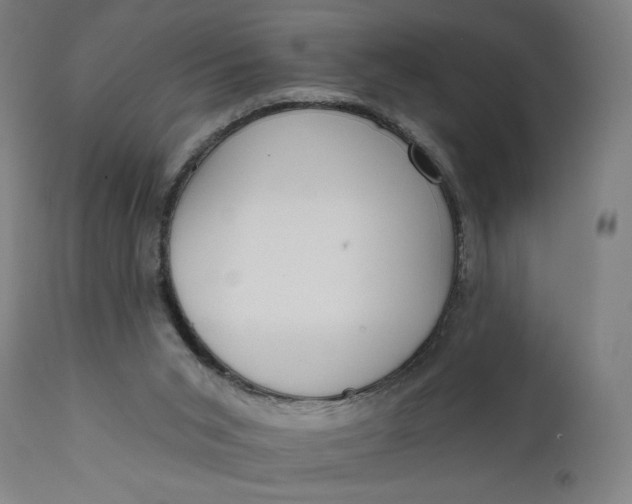 X0000111610015200907311150