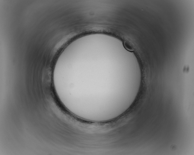 X0000111610016200907311150