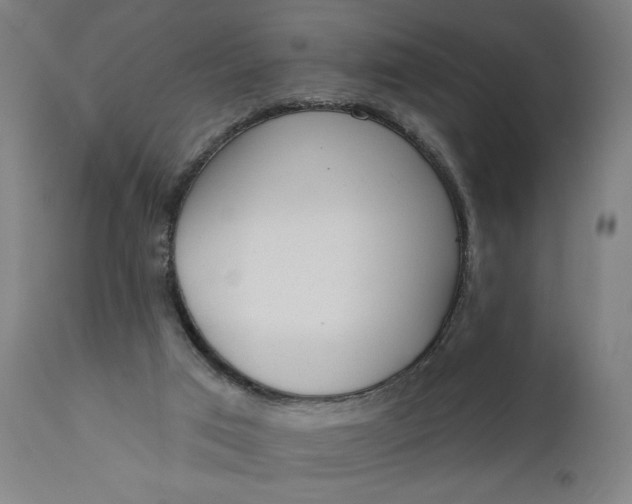 X0000111610017200907311150