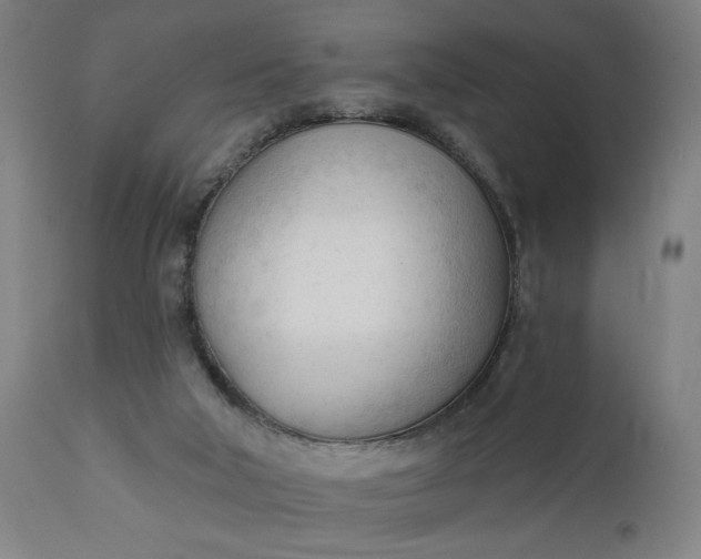 X0000111610018200907311150