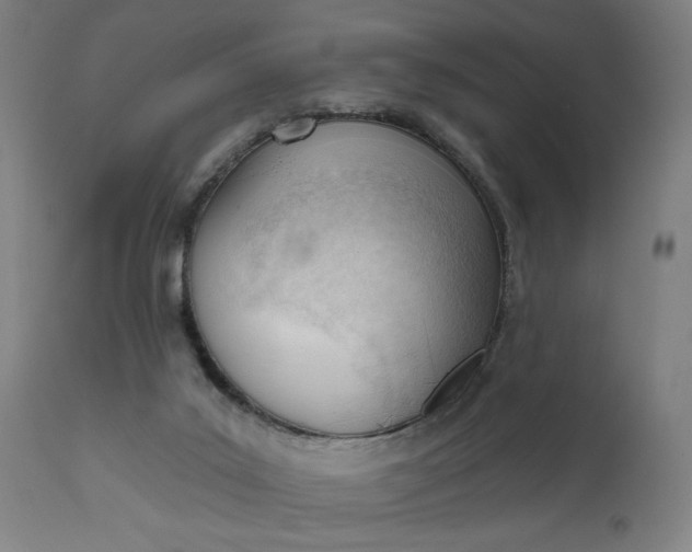 X0000111610019200907311150