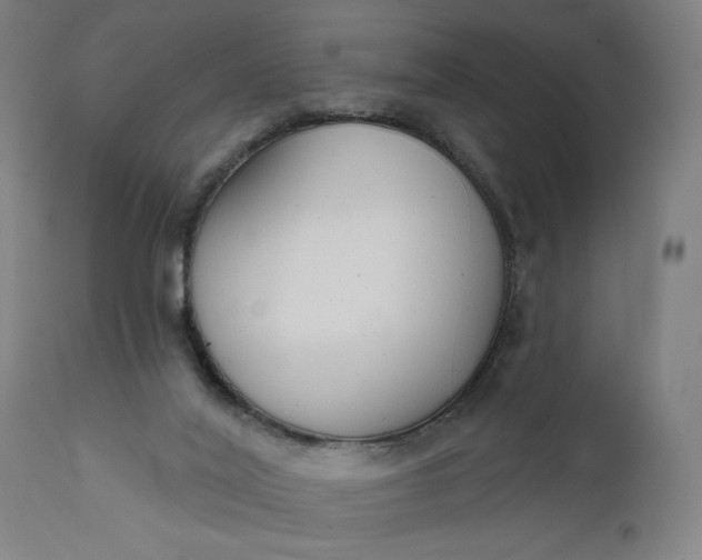 X0000111610020200907311150