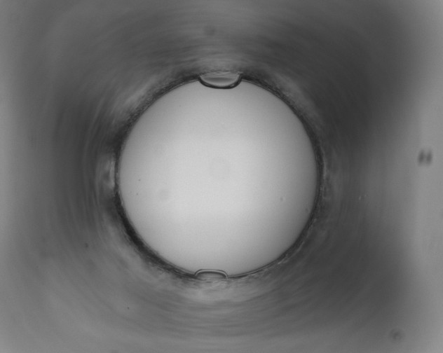 X0000111610021200907311150