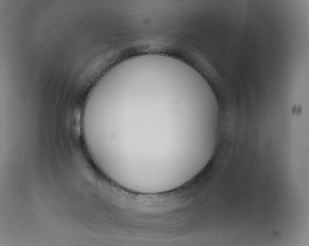 X0000111610022200907311150