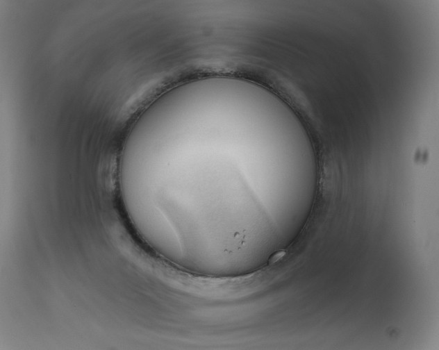 X0000111610023200907311150