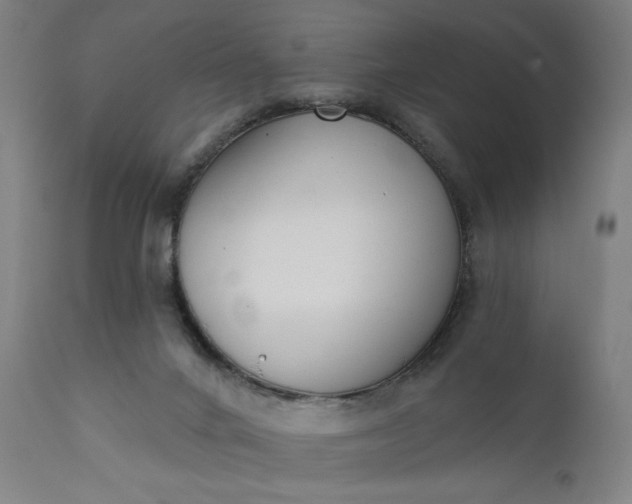 X0000111610024200907311150