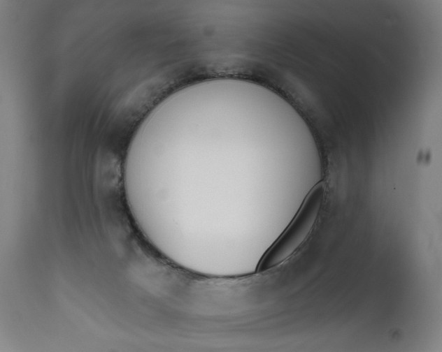 X0000111610025200907311150