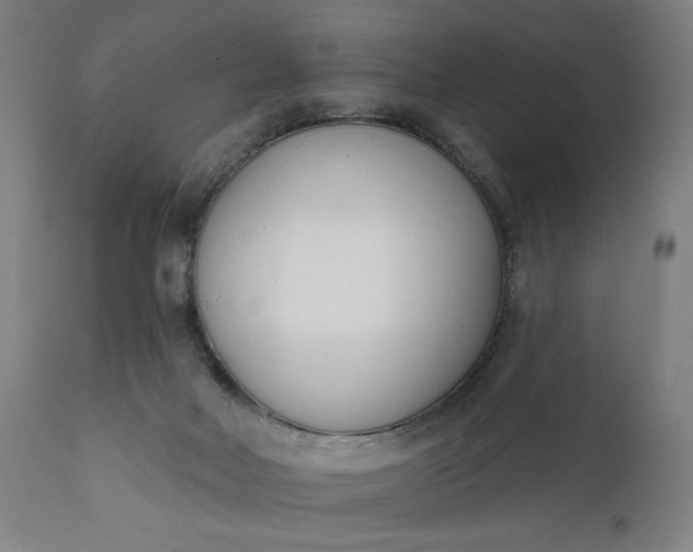 X0000111610026200907311150