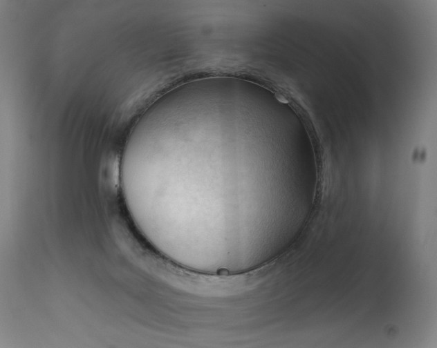 X0000111610027200907311150