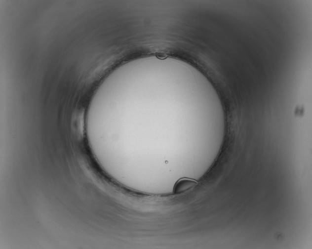 X0000111610028200907311150