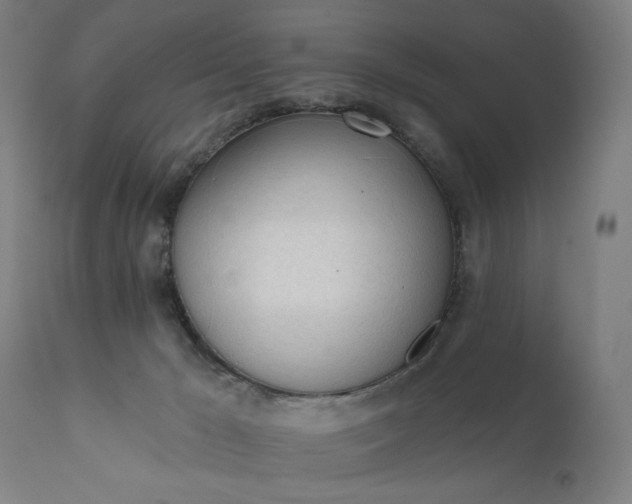 X0000111610029200907311150