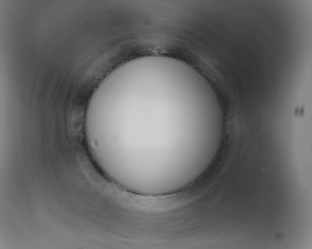 X0000111610030200907311150