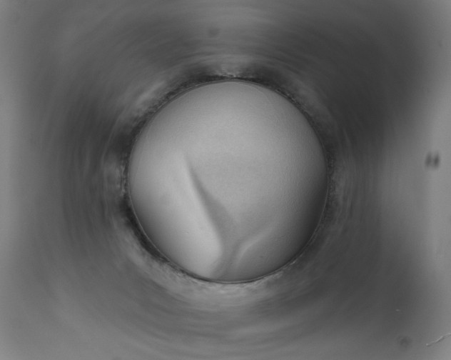 X0000111610031200907311150