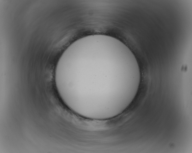 X0000111610032200907311150