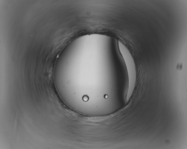 X0000111610033200907311150