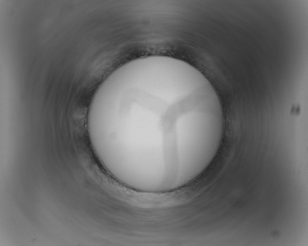 X0000111610034200907311149