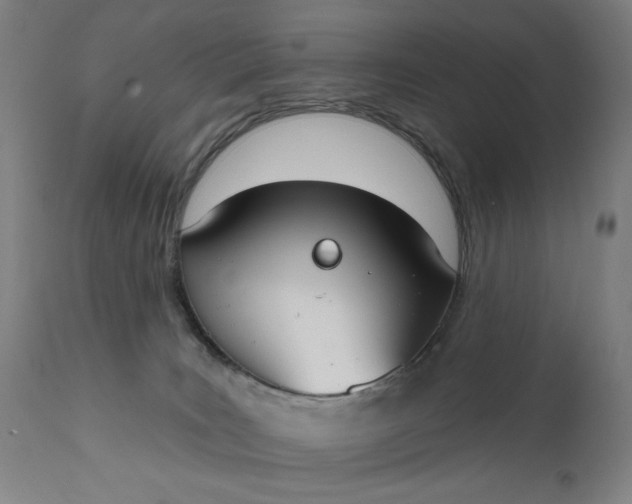 X0000111610035200907311149