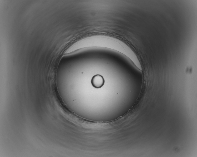 X0000111610036200907311149