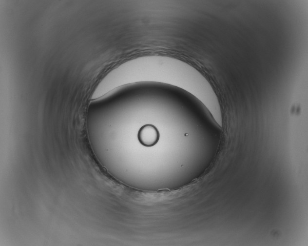 X0000111610037200907311149