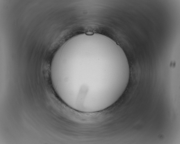 X0000111610038200907311149