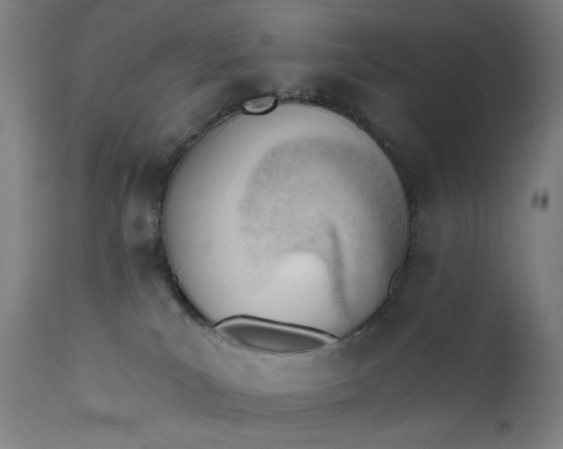 X0000111610039200907311149