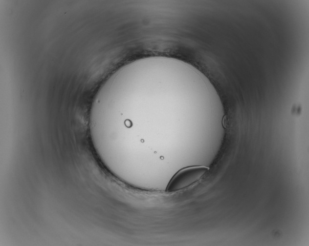 X0000111610040200907311149