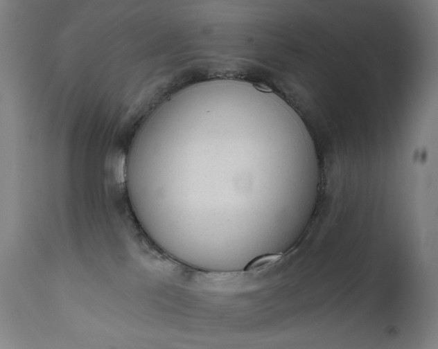 X0000111610041200907311149