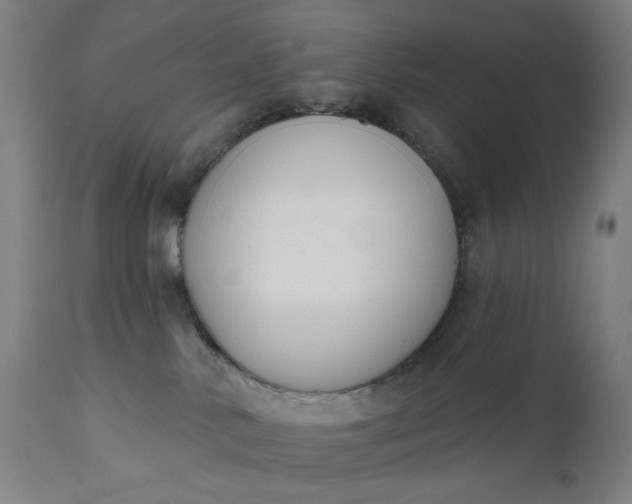 X0000111610042200907311149