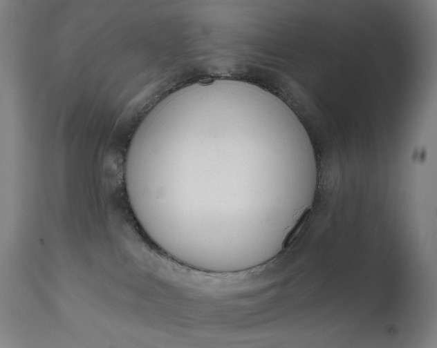 X0000111610043200907311149