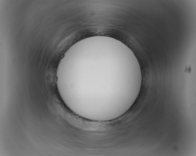 X0000111610044200907311149